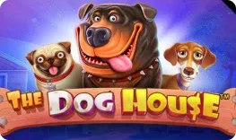 Nords Casino – The Dog House